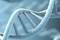 办公自动化的短信群发平台